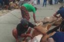 Warga Jalan Viyatayudha Pematangsiantar menyembelih 4 sapi dan 1 kambing pada Iduladha 1447 H
