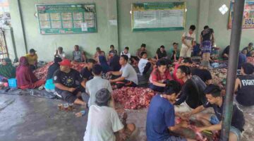 Masjid Al-Ikhlas Jalan Nagur Pematangsiantar menyembelih 11 sapi dan 4 kambing pada Iduladha 2026 untuk dibagikan kepada 650 warga.