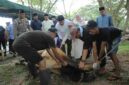 Pemkab Asahan menyembelih 101 hewan kurban pada Iduladha 2026.
