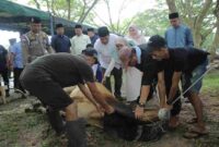 Pemkab Asahan menyembelih 101 hewan kurban pada Iduladha 2026.