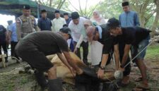 Pemkab Asahan menyembelih 101 hewan kurban pada Iduladha 2026.