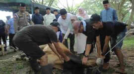 Pemkab Asahan menyembelih 101 hewan kurban pada Iduladha 2026.