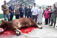 Bupati Asahan menyaksikan penyembelihan sapi bantuan Presiden Prabowo Subianto di Masjid Besar Al-Huda, Kecamatan Air Batu.