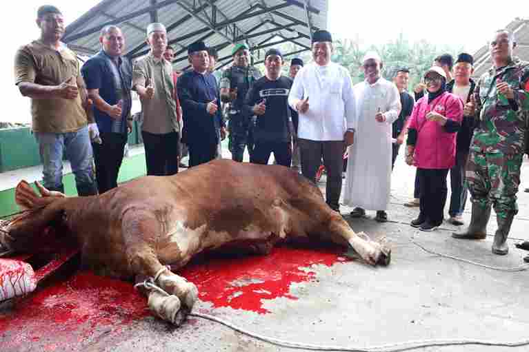 Bupati Asahan menyaksikan penyembelihan sapi bantuan Presiden Prabowo Subianto di Masjid Besar Al-Huda, Kecamatan Air Batu.