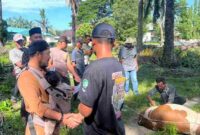 PTPN IV Regional VI Unit Kebun Baru menyembelih 8 hewan kurban pada Iduladha 2026 dan membagikan daging kepada karyawan serta warga.