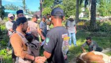 PTPN IV Regional VI Unit Kebun Baru menyembelih 8 hewan kurban pada Iduladha 2026 dan membagikan daging kepada karyawan serta warga.