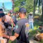 PTPN IV Regional VI Unit Kebun Baru menyembelih 8 hewan kurban pada Iduladha 2026 dan membagikan daging kepada karyawan serta warga.