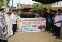 Wali Kota Pematangsiantar Wesly Silalahi menyerahkan sapi kurban bantuan Presiden Prabowo Subianto seberat 906 kilogram ke Masjid Amaliyah.