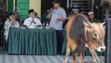 Wali Kota Pematangsiantar Wesly Silalahi menyerahkan sapi kurban kepada DP MUI Pematangsiantar pada momentum Iduladha 1447 Hijriah.