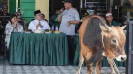 Wali Kota Pematangsiantar Wesly Silalahi menyerahkan sapi kurban kepada DP MUI Pematangsiantar pada momentum Iduladha 1447 Hijriah.