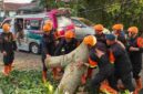 Brimob Polda Sumut mengevakuasi pohon tumbang yang menutup akses jalan di Kelurahan Simarimbun, Pematangsiantar.