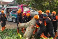 Brimob Polda Sumut mengevakuasi pohon tumbang yang menutup akses jalan di Kelurahan Simarimbun, Pematangsiantar.