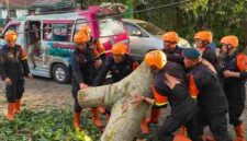 Brimob Polda Sumut mengevakuasi pohon tumbang yang menutup akses jalan di Kelurahan Simarimbun, Pematangsiantar.