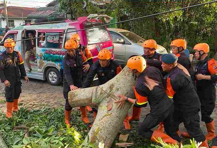 Brimob Polda Sumut mengevakuasi pohon tumbang yang menutup akses jalan di Kelurahan Simarimbun, Pematangsiantar.