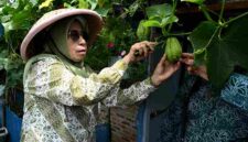 Sahli I TP PKK Provinsi Sumatera Utara (Sumut) Titiek Sugihartik bersama Ketua TP PKK Kabupaten Karo Roswitha Antonius Ginting, serta Bupati Karo Antonius Ginting, bersama tim monitoring TP PKK Provinsi melakukan monitoring program Aku Hatinya PKK di Desa Temburun, Kecamatan Tiganderket, Kabupaten Karo, Rabu (17/6/26)