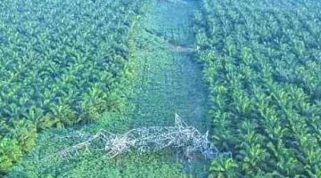 PLN Gerak Cepat Pulihkan Kelistrikan Sumut Usai 12 Tower Transmisi Rusak Diterjang Angin Kencang