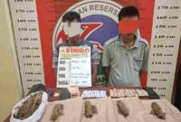 Satres Narkoba Polres Padang Lawas mengamankan dua pria yang diduga terlibat peredaran ganja di Kecamatan Sosa Julu dan menyita ratusan gram barang bukti.