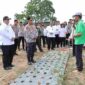 Bupati Samosir dan Kapolda Sumut meninjau lahan bawang putih di Simanindo.
