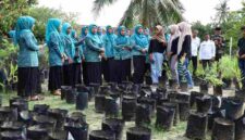 Ketua TP PKK Asahan meninjau program Pokja I di Desa Tanjung Asri.