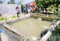 Ketua TP PKK Pematangsiantar Liswati Wesly Silalahi meninjau persiapan Kelurahan Tong Marimbun dan Pematang Marihat jelang lomba PKK Sumut 2026.