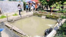 Ketua TP PKK Pematangsiantar Liswati Wesly Silalahi meninjau persiapan Kelurahan Tong Marimbun dan Pematang Marihat jelang lomba PKK Sumut 2026.