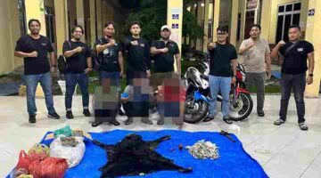 Polres Simalungun mengungkap dugaan perdagangan satwa dilindungi dengan mengamankan tiga terduga pelaku dan menyita 30 kilogram sisik trenggiling.