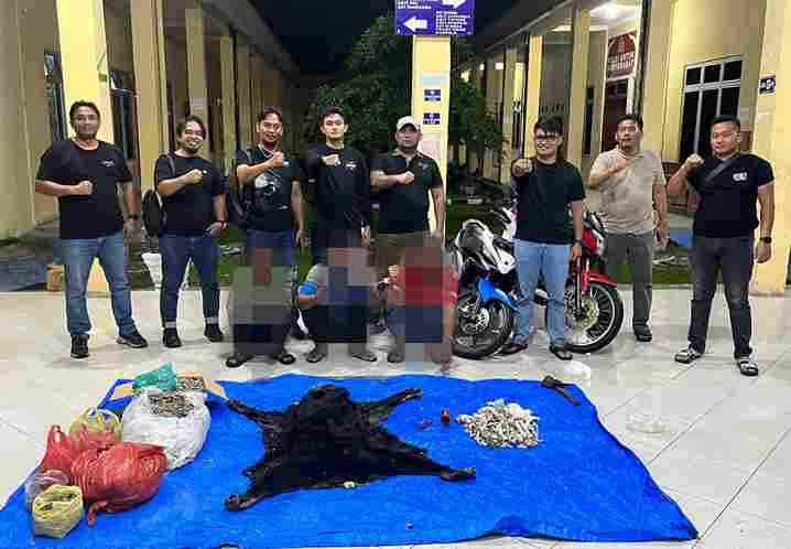 Polres Simalungun mengungkap dugaan perdagangan satwa dilindungi dengan mengamankan tiga terduga pelaku dan menyita 30 kilogram sisik trenggiling.