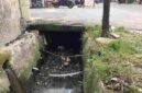 okasi banjir di Jalan Bunga Mawar, Medan Selayang.
