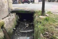 okasi banjir di Jalan Bunga Mawar, Medan Selayang.