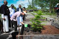 Wapres Gibran meninjau pembangunan Gereja Katedral Salib Suci Baru di Asmat, Papua Selatan, serta menanam cemara sebagai simbol keberlanjutan.