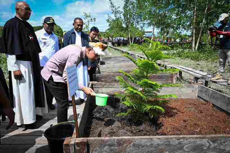 Wapres Gibran meninjau pembangunan Gereja Katedral Salib Suci Baru di Asmat, Papua Selatan, serta menanam cemara sebagai simbol keberlanjutan.