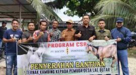 PT Socfindo Kebun Lae Butar menyalurkan 10 ekor kambing kepada pemuda Desa Lae Butar, Aceh Singkil, melalui program CSR untuk mendukung usaha peternakan.