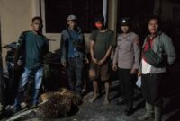 Seorang pemuda berinisial SS (21), warga Lingkungan VIII, Kelurahan Hutabalang, Kecamatan Badiri, Kabupaten Tapanuli Tengah, diamankan di Polsek Pinangsori.