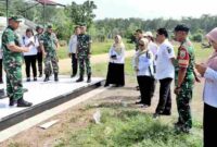 Peninjauan Lapangan Sepak Bola Serbelawan, Kecamatan Dolok Batu Nanggar, Rabu (15/7/2026).