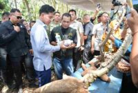 Wapres Gibran menyerap aspirasi petani singkong di Lampung Timur.