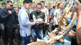 Wapres Gibran menyerap aspirasi petani singkong di Lampung Timur.