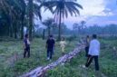 Respons Cepat Laporan Call Center 110, Polsek Tanah Jawa Selidiki Dugaan Peredaran Sabu di Simalungun.
