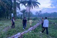 Respons Cepat Laporan Call Center 110, Polsek Tanah Jawa Selidiki Dugaan Peredaran Sabu di Simalungun.