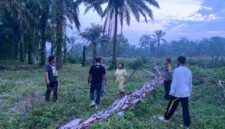 Respons Cepat Laporan Call Center 110, Polsek Tanah Jawa Selidiki Dugaan Peredaran Sabu di Simalungun.