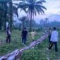 Respons Cepat Laporan Call Center 110, Polsek Tanah Jawa Selidiki Dugaan Peredaran Sabu di Simalungun.