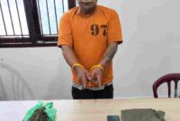 seorang pria berinisial ES (50) yang berprofesi sebagai petani.