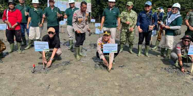 Pemkab Aceh Singkil dan PT PLB menanam 3.000 bibit mangrove untuk memperkuat ekosistem pesisir dan mencegah abrasi dalam Hari Mangrove Sedunia.