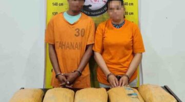 Dugaan peredaran 5 kilogram ganja di Batang Angkola. Dua orang diamankan.