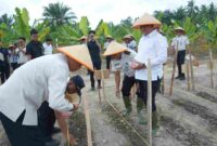 Wakil Bupati Asahan mendukung program penanaman jagung Lapas Kelas IIA Labuhan Ruku.