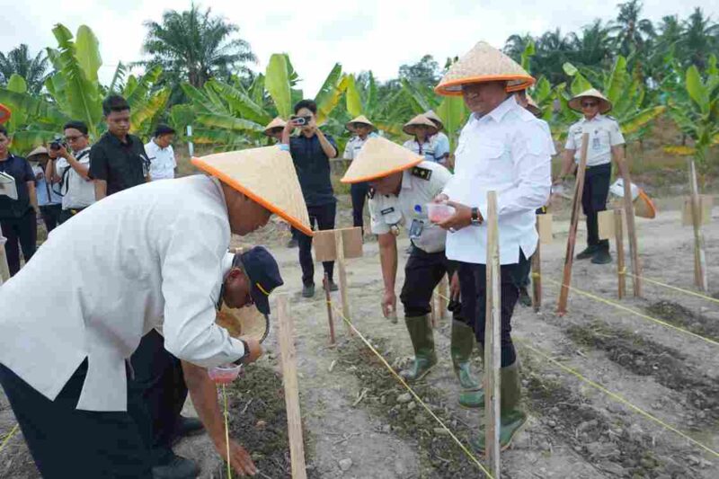 Wakil Bupati Asahan mendukung program penanaman jagung Lapas Kelas IIA Labuhan Ruku.
