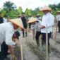 Wakil Bupati Asahan mendukung program penanaman jagung Lapas Kelas IIA Labuhan Ruku.