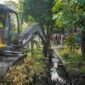 Pemko Medan mengeruk sedimentasi parit Jalan Taduan untuk mencegah genangan.