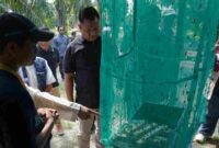 KKN UGM di Asahan mengolah sisa makanan pesantren menjadi maggot untuk pakan alternatif ternak bebek.