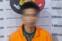 Polsek Hamparan Perak mengamankan pemuda terkait pencurian Alfamart dengan kerugian Rp29,7 juta.