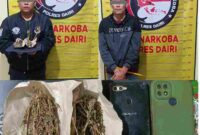 Polres Dairi mengamankan dua pria terkait dugaan peredaran ganja di Bintang Mersada. Polisi menyita ganja dengan total berat 18,05 gram.
